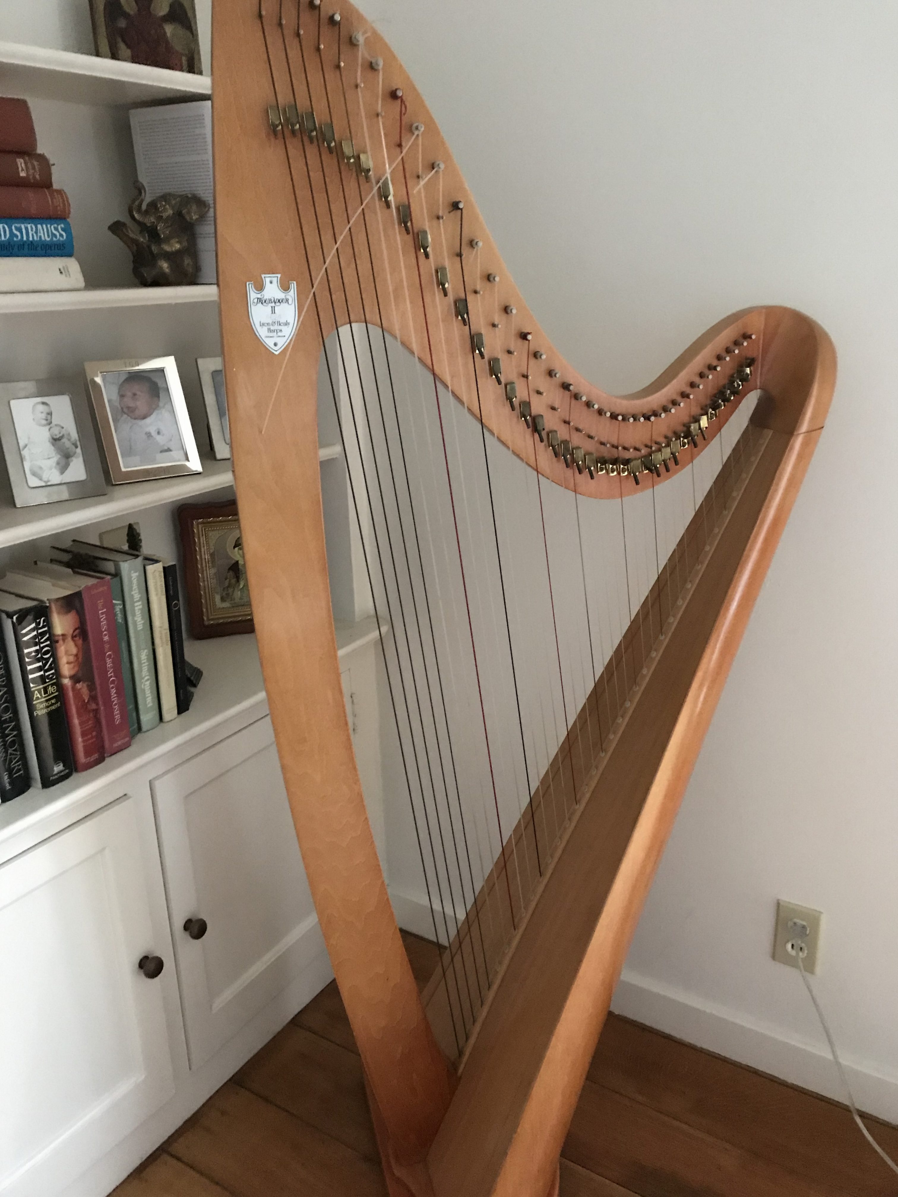 can i get a lyon and healy harp customizedcustomized