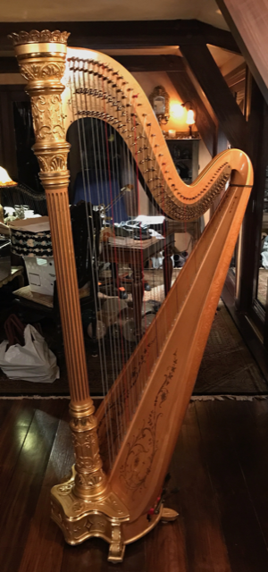 how do i find out what year my lyon and healy harp was made